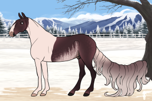 Thumbnail for 6041 Lakeside's The Count