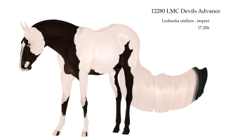 Thumbnail for 12280 LMC Devils Advance