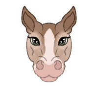 Thumbnail for 10505 Playing With Fire