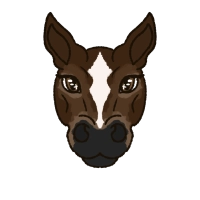 Thumbnail for 6517 Winterland Spruce