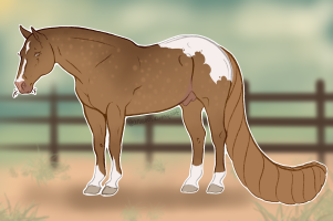 Thumbnail for 12621 OSR Poco Driftwood Hancock