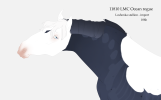 Thumbnail image for 11810 LMC Ocean Rogue