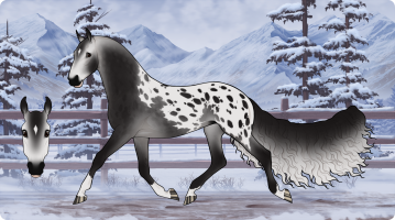 Thumbnail for 12070 Over The Peacefield