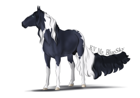 Thumbnail for 9951 KV Mr. BlueSky