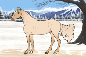 Thumbnail for 3417 Dawn of Gold