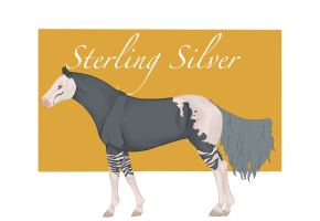 Thumbnail for 11383 Sterling Silver