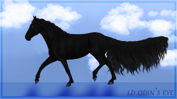 Thumbnail for 12849 Odin's Eye