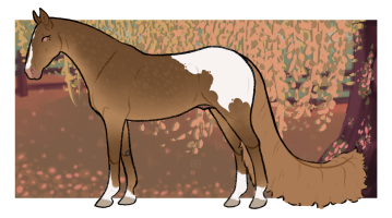 Thumbnail for 12621 OSR Poco Driftwood Hancock