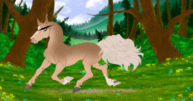 Thumbnail for 12042 House Of The Rising Sun