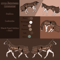 Thumbnail for 1930 WG Espresso Cremeux