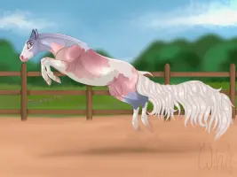 Submission thumbnail