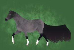 Submission thumbnail