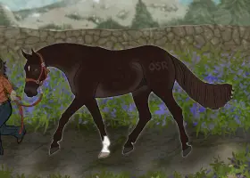 Submission thumbnail