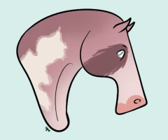 Submission thumbnail