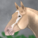 LonghornRanch's Avatar