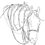YukinaHaras's Avatar