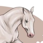 Nemi's Avatar