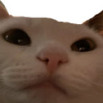 ramenslurp's Avatar
