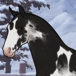 Kxngofthedamned's Avatar