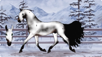 Thumbnail for 7197 King of Nothing