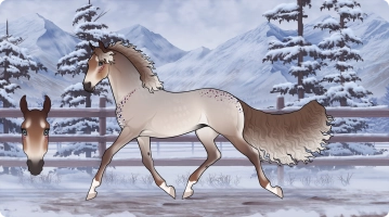 Thumbnail for 7422 Kiku