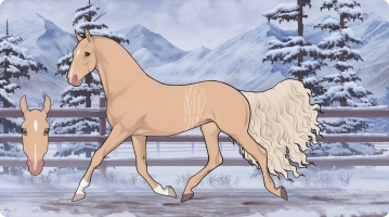 Thumbnail for 7650 SMA's Sun-Kissed Glow