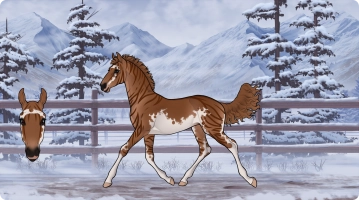 Thumbnail for 0502 SMA's Born Under the Moon