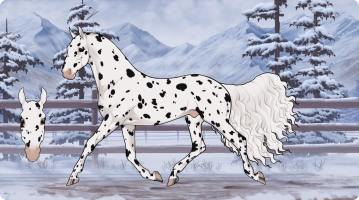 Thumbnail for 7791 PF Connect the Dots