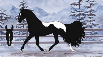 Thumbnail for 7908 Black Rose