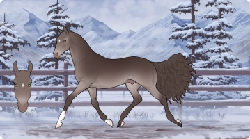 Thumbnail for 7975 WM The Silent Knight