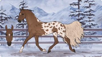 Thumbnail for 8064 Cinnamon Toast