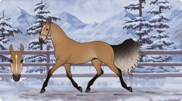 Thumbnail for 8078 Magic At Midnight