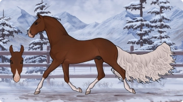 Thumbnail for 2028 PF Fiorucci