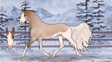 Thumbnail for 4076 SWS Limestone