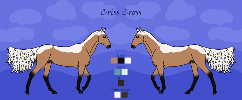 Thumbnail for 7202 LH Criss Cross