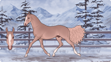 Thumbnail image for 0661 Low Tide Sunrise