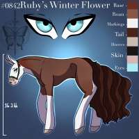 Thumbnail image for 0842 Rubys Winter Flower