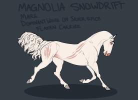 Thumbnail for 2576 Magnolia Snowdrift