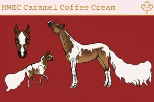 6422 MWEC Caramel Coffee Cream