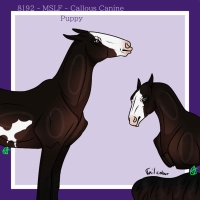 Thumbnail for 8192 MSLF Callous Canine