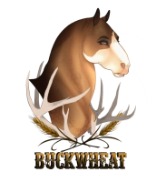 6791 Buckwheat