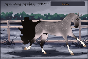 Thumbnail for 6417 SWS Granite