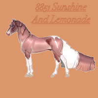 Thumbnail for 8851 Sunshine And Lemonade