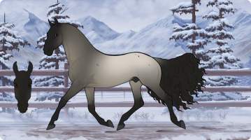 Thumbnail for 8889 Smokey Midnight