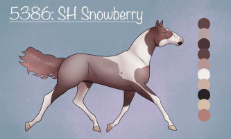 5386 SH Snowberry Thumbnail