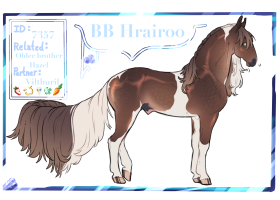 7357 BB Hrairoo Thumbnail