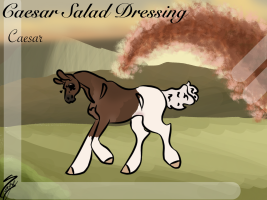 Thumbnail for 7298 WG Caesar Salad Dressing