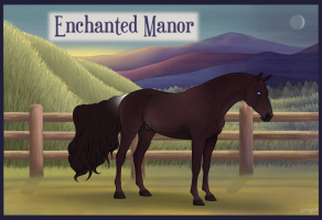 Thumbnail for 8879 EM's Dark Tidings