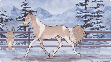 Thumbnail for 8904 Dream Boy