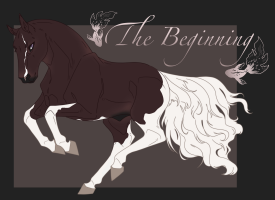 Thumbnail image for 8897 The Beginning